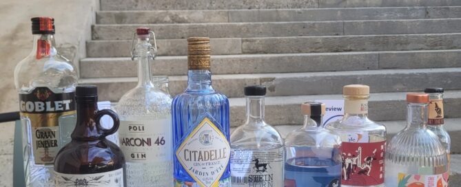 raise your spirits, Verkostung, Spirituosen, Gin, Gintasting, Tasting