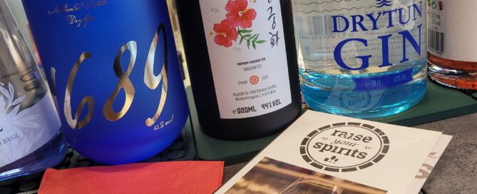 raise your spirits, Verkostung, Spirituosen, Gin, Gintasting, Tasting