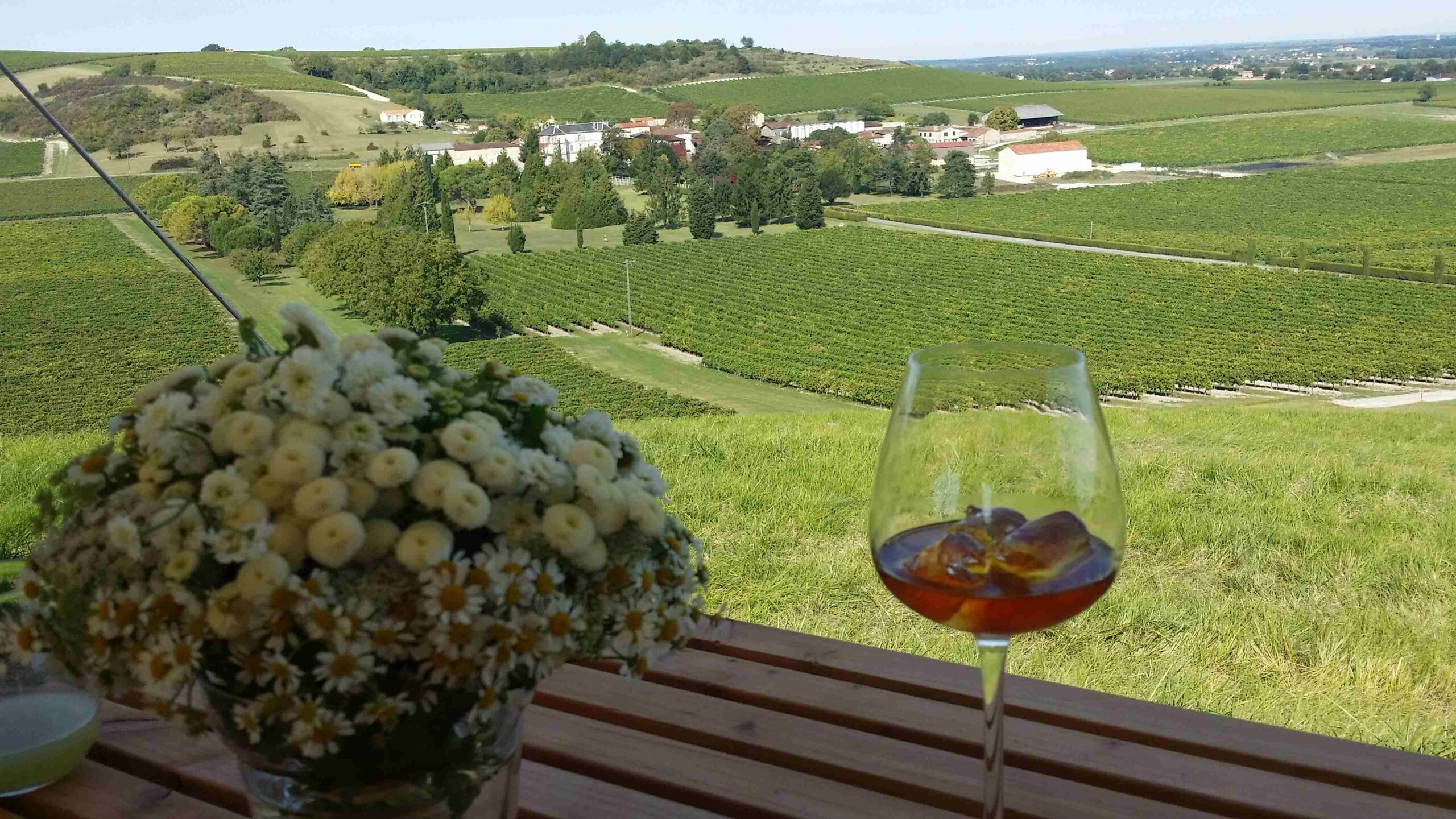 raise your spirits, Verkostungen, Spirituosen, tasting, Charente, Cognac