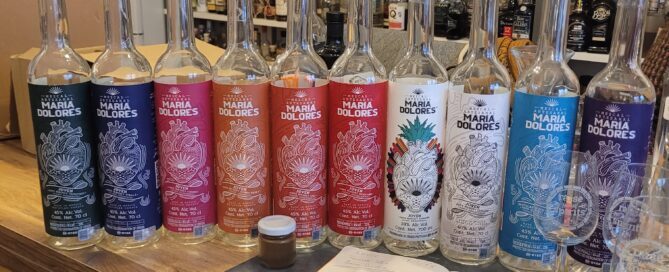 Mezcal, Maria Dolores, Oaxaca, Mexiko, Agave